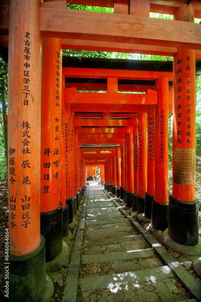 Red Torii pillars at Fushimi inari shrine in Kyoto, Japan. Red Torii pillars at Fushimi inari shrine in Kyoto, Japan.