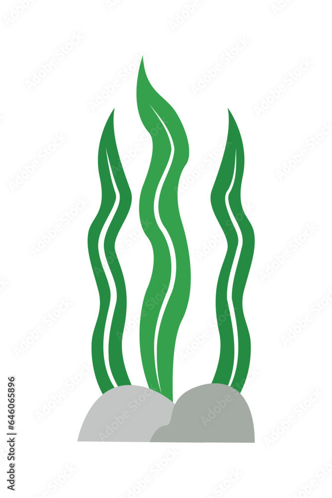 Seaweed illustration in flat style isolated. Marine plants on a white background. Seaweeds. Aquarium plants, underwater planting. Seaweed illustration in flat style isolated. Marine plants on a white background. Seaweeds. Aquarium plants, underwater planting.