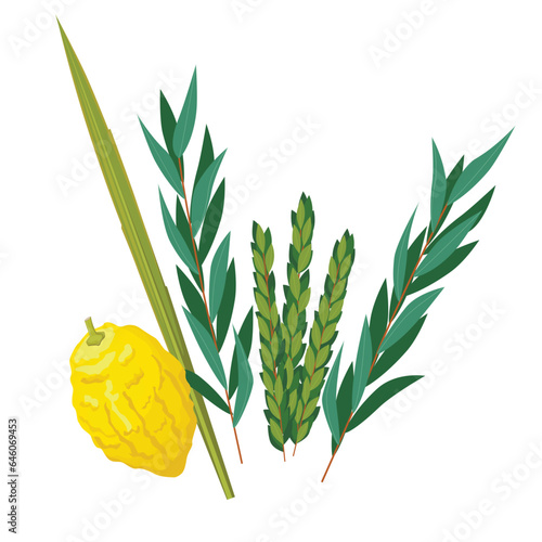 Happy Sukkot traditional symbols. Sukkot set of herbs and spices of the etrog, lulav, Arava, Hadas. Isolated on white background. Vector illustration