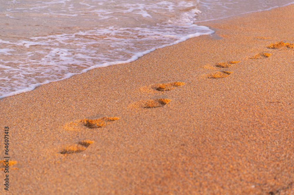 Footprints on the beach close-up. close-up of human footprints in the wet sand on the seashore Footprints on the beach close-up. close-up of human footprints in the wet sand on the seashore