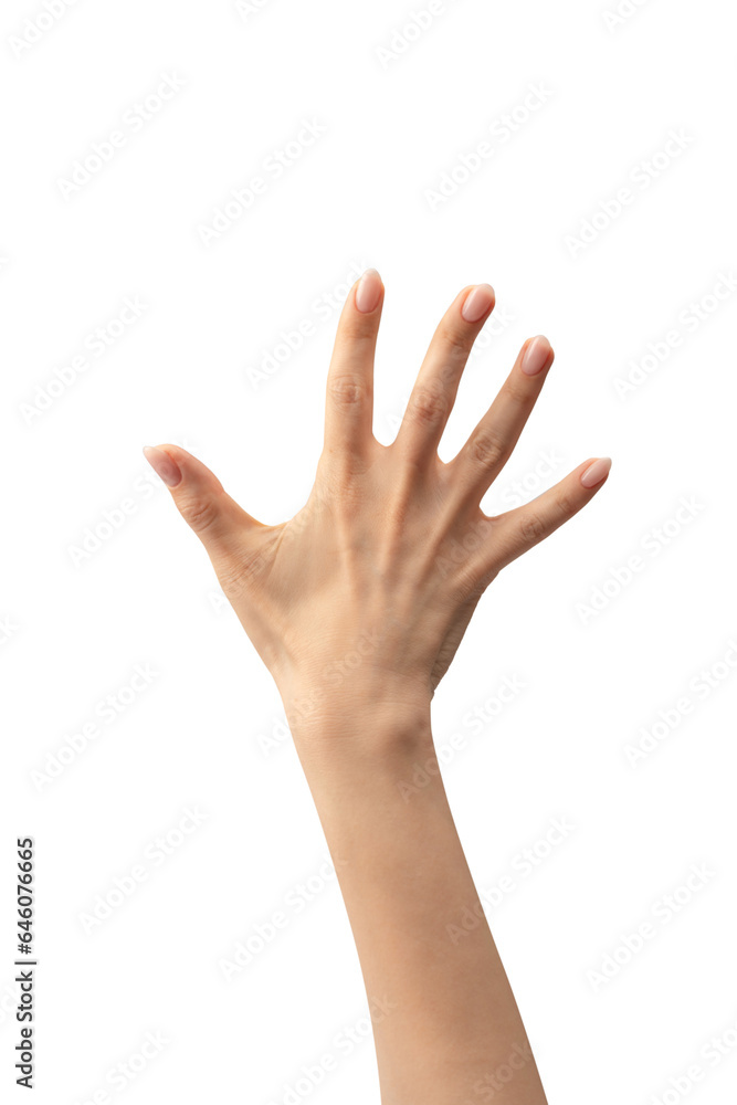 Woman hand isolated on a white background. Woman hand isolated on a white background.