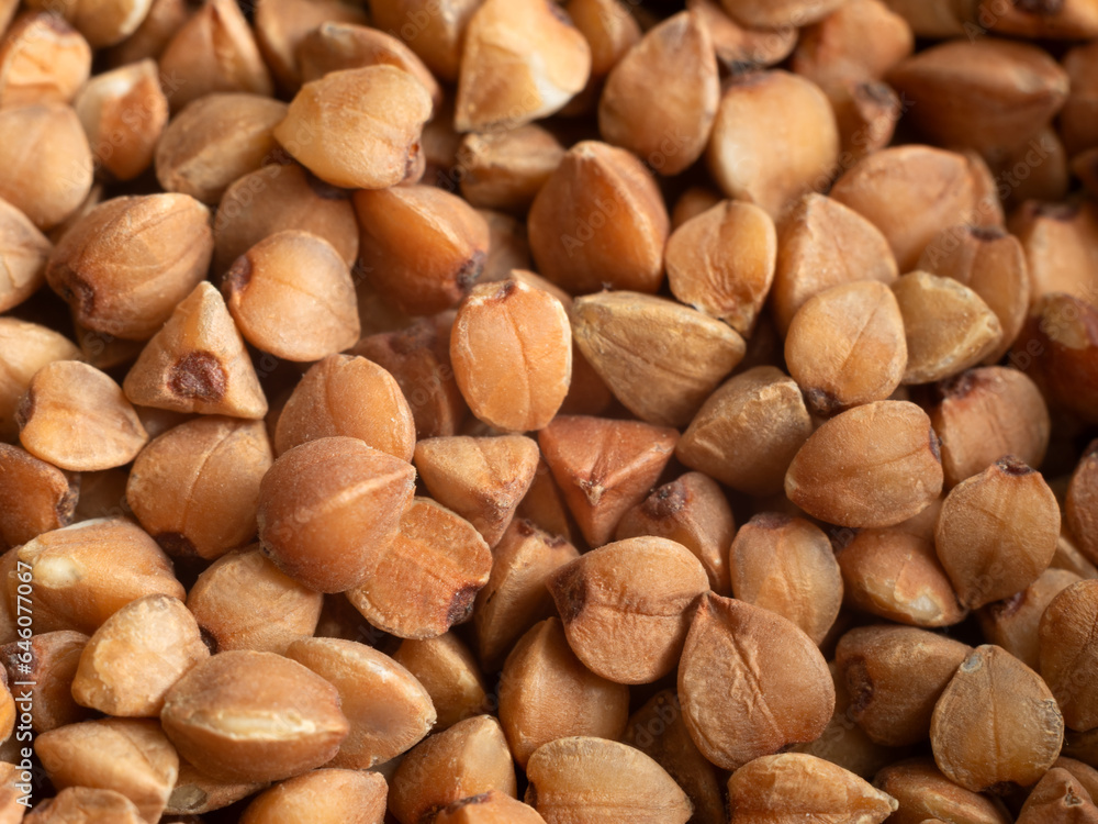 buckwheat groats close-up. buckwheat groats close-up.