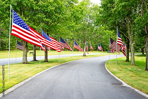 American flags line the roadway at the entrance to a National Cemetery.
