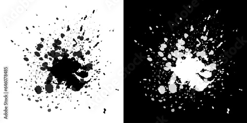Splash of black and white paint in vector