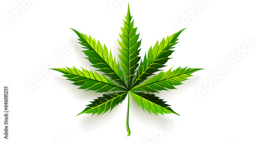 cannabis leaf isolated on white background