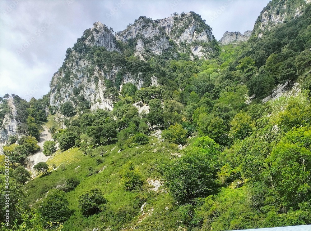 Picos de Europa 