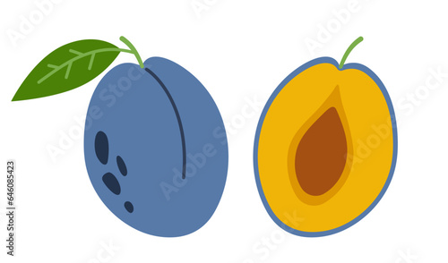 Plum. Whole plum fruit with leaf and half with pit. Hand drawn flat vector illustration isolated on white background.