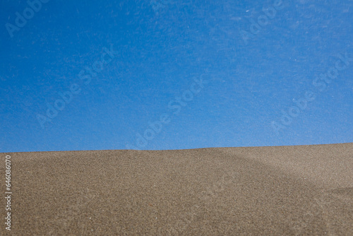 Flora of Singing dune (dune) in Altyn-Emel National Park, Almaty region, Kazakhstan.