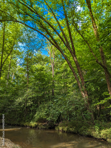 streams edge