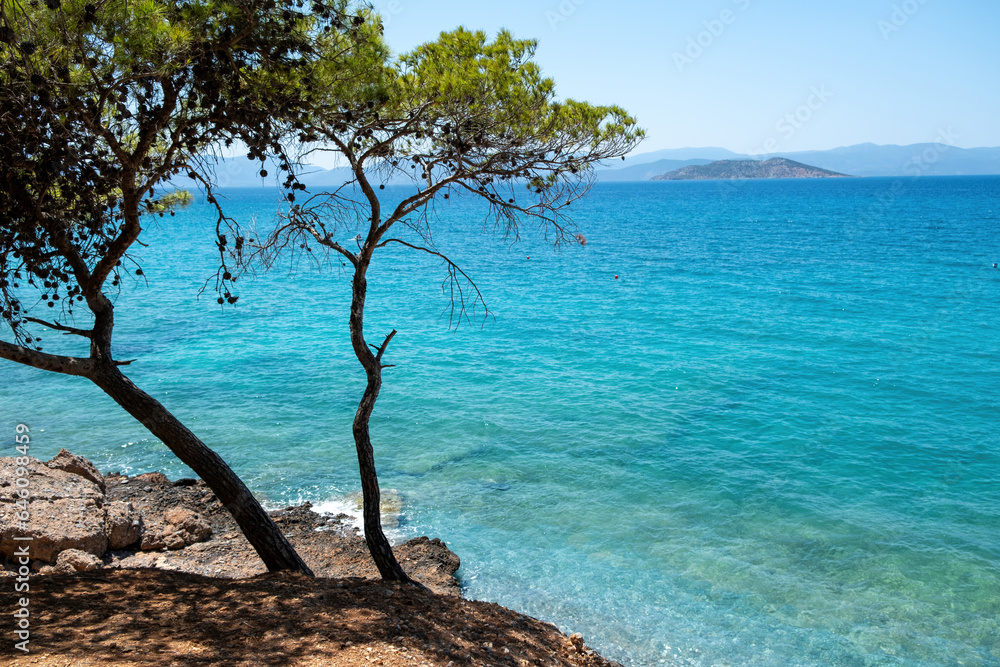 Dragonera Beach Agistri Island Greece. Rocky landscape covered with pine tree transparent sea. Space