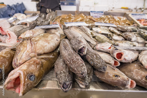 Fish and seafood section of the Olhao municipal market in Algarve, Portugal.