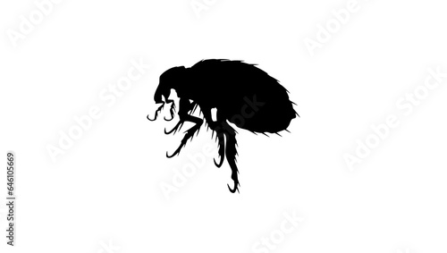 flea silhouette
