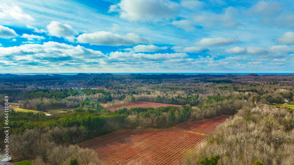 Naklejka premium landscape with river