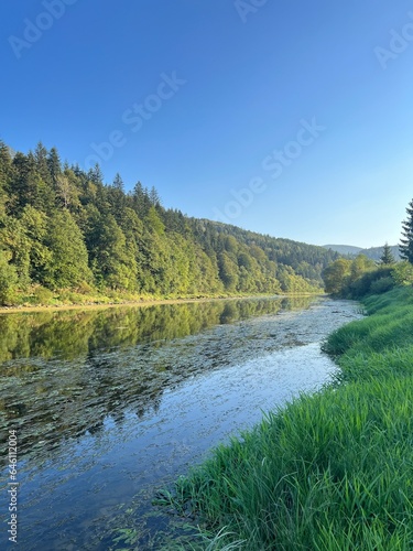 River in the mountains with wooded banks