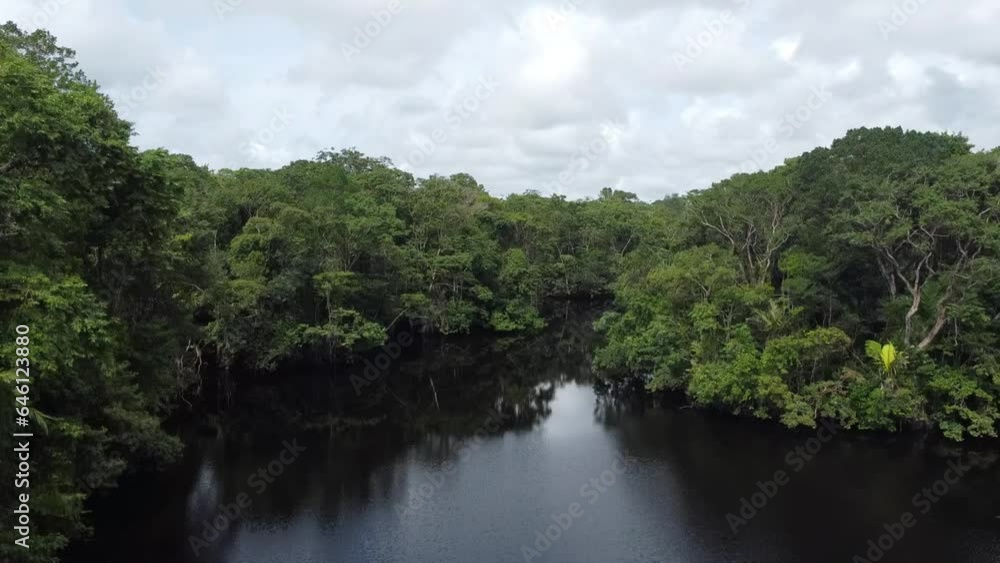 Aerial view of the lush rainforest and canals of Tortuguero by the sea, Costa Rica. Aerial view of the lush rainforest and canals of Tortuguero by the sea, Costa Rica.