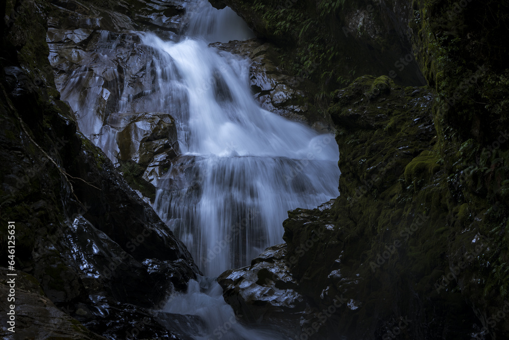Fototapeta premium New Zealand river near Milford Sound in Fiordland National Park