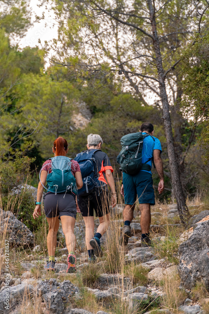 Three hiker friends with their backs turned walking through the forest Three hiker friends with their backs turned walking through the forest