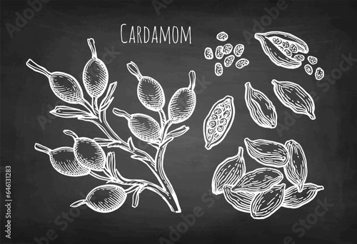 Cardamom chalk sketch set.