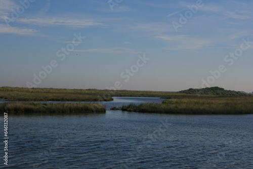 Marshland