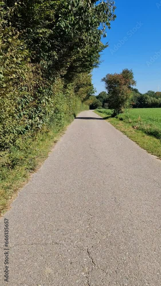 Low angle view from a bicycle driving on a small path with trees to the side. Low angle view from a bicycle driving on a small path with trees to the side.