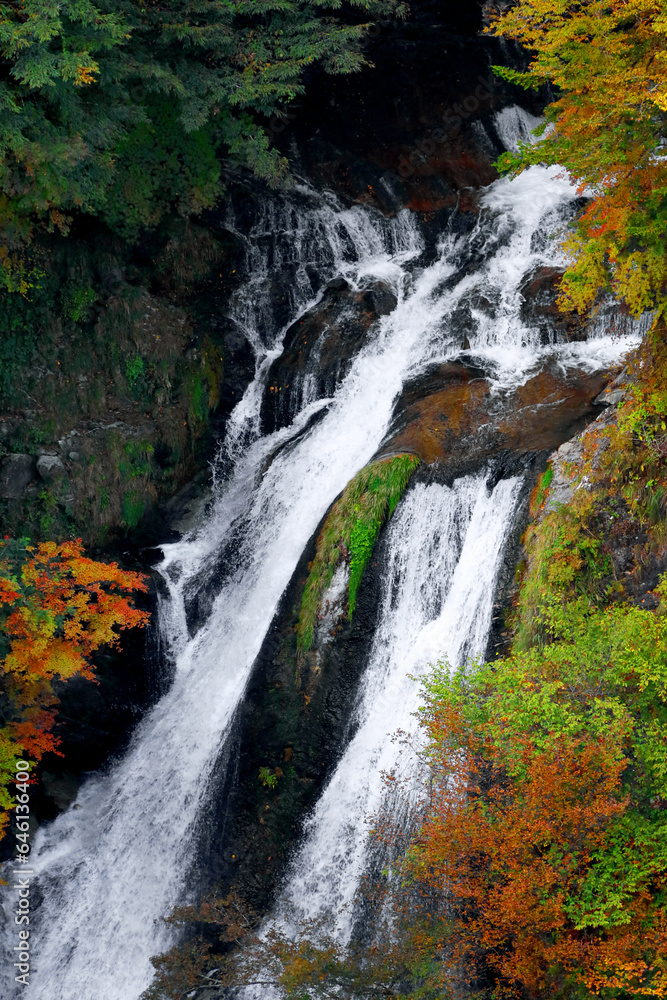 Beautiful scenery of Japan. Nikko's famous waterfall 