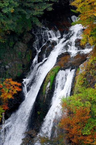 Beautiful scenery of Japan. Nikko's famous waterfall "Kirifuri-no-taki"