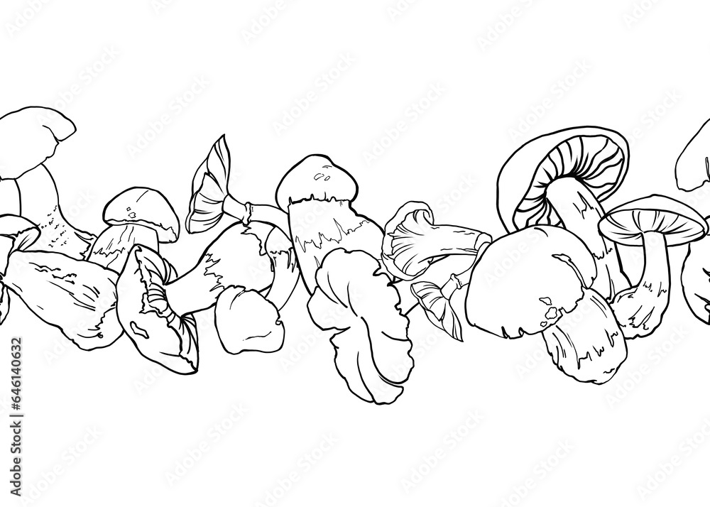Seamless border of mushrooms. Hand drawing lines. Sketch drawing of a mushroom isolated on a white background. Organic vegetarian food product. For printing packaging, menus, recipes, packaging, etc. Seamless border of mushrooms. Hand drawing lines. Sketch drawing of a mushroom isolated on a white background. Organic vegetarian food product. For printing packaging, menus, recipes, packaging, etc.
