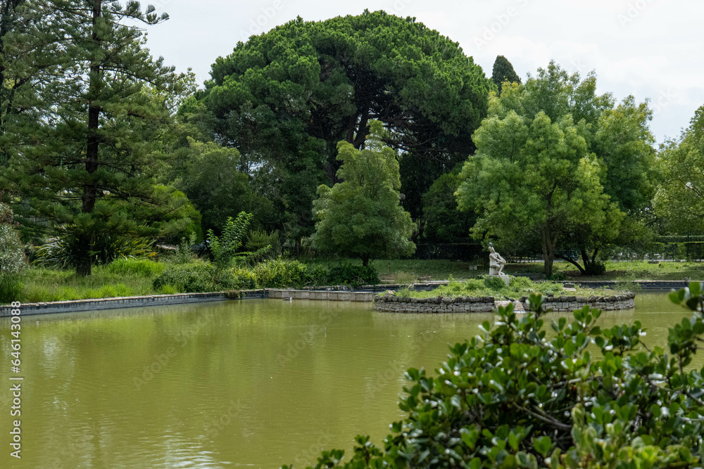 Garden lake and trees on an overcast day Garden lake and trees on an overcast day