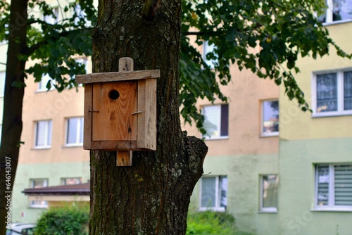 A birdhouse in a tree in a housing estate