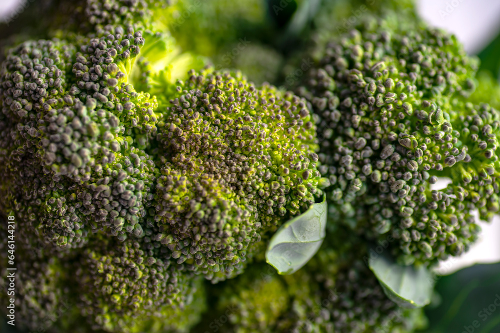 Broccoli close-up. Broccoli macro photo. Broccoli close-up. Broccoli macro photo.
