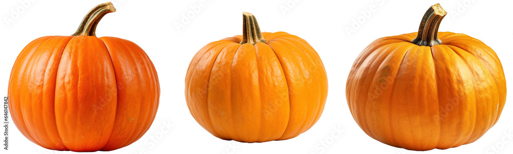Many orange halloween pumpkins of different shapes isolated on transparent background - obrazy, fototapety, plakaty 