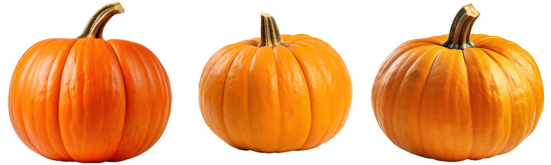 Many orange halloween pumpkins of different shapes isolated on transparent background