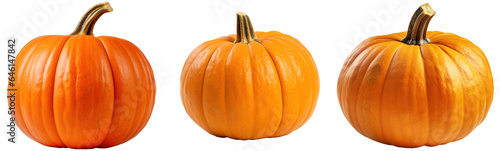 Many orange halloween pumpkins of different shapes isolated on transparent background