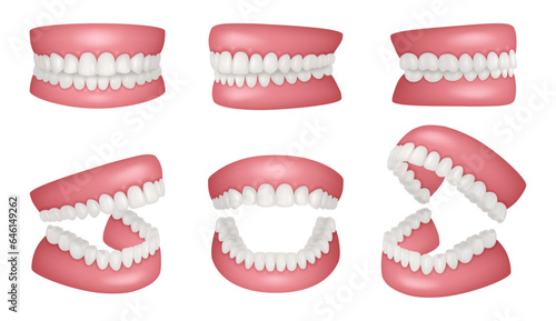 Realistic jaws. Human anatomy jaw healthy teeth collection decent vector realistic templates set