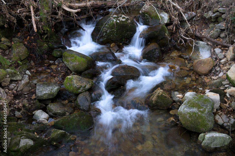 Source of river mountain forest area in winter with stones with moss Source of river mountain forest area in winter with stones with moss