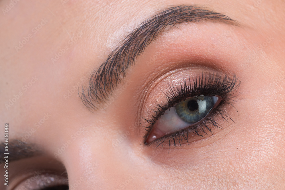 Obraz premium Perfect eyebrows. Close up of woman getting eyebrow make-up. Macro applying cosmetics on her eyebrow with brush. Perfect shape of eyebrow, brown eyeshadows and long eyelashes. Beauty concept.