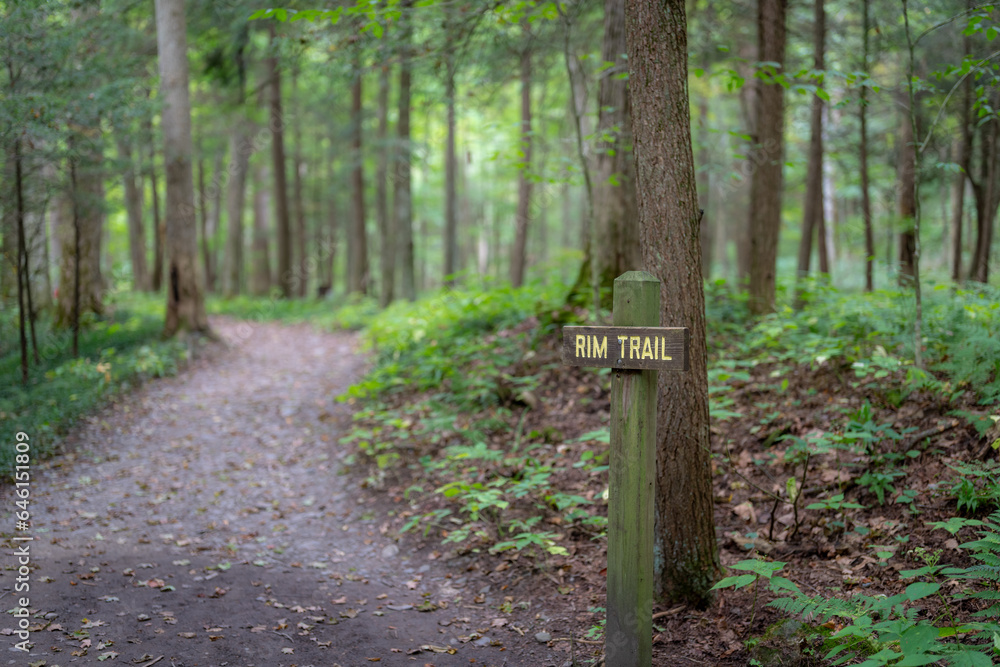 Brown rustic wooden sign noting RIM TRAIL with a walking path extending in the distance.	