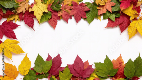 Beautiful autumn leaves and presents