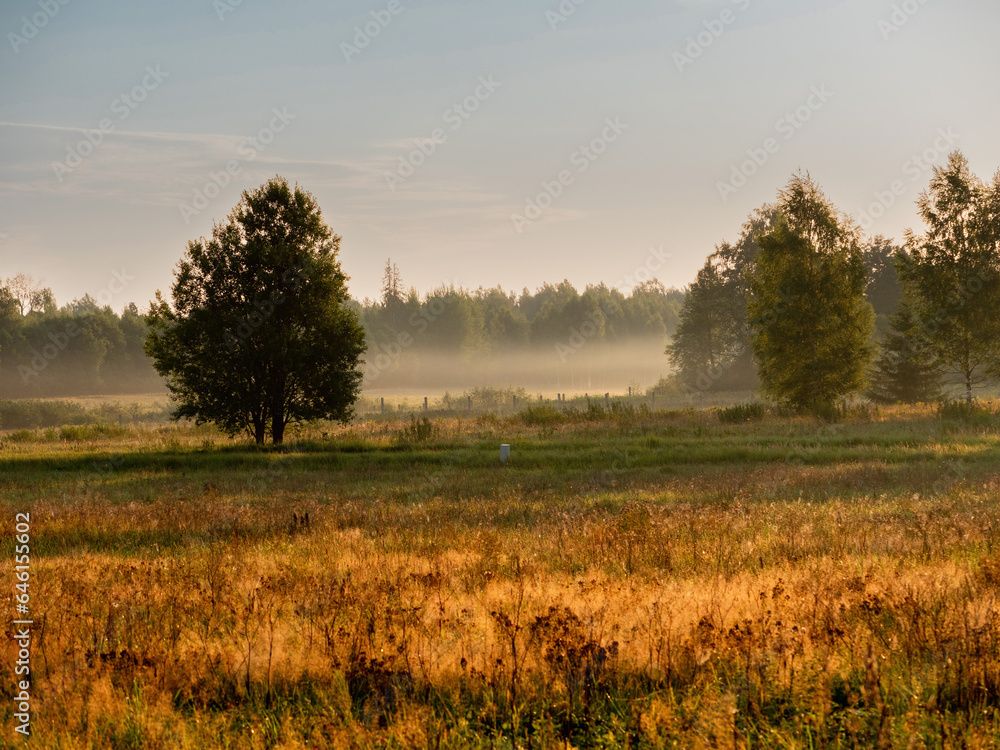 Stunning sunrise nature scene in a country side with green grass field and forest and fog in the background. Agriculture land at sunrise. Nobody. Warm and cold color. Sun flare.