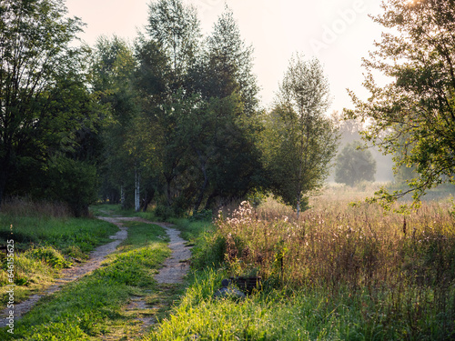 Small narrow country side road in rural area of Latvia. Field in a fog in the background. Nobody. Calm and relaxed mood. Nature scene with serene mood.