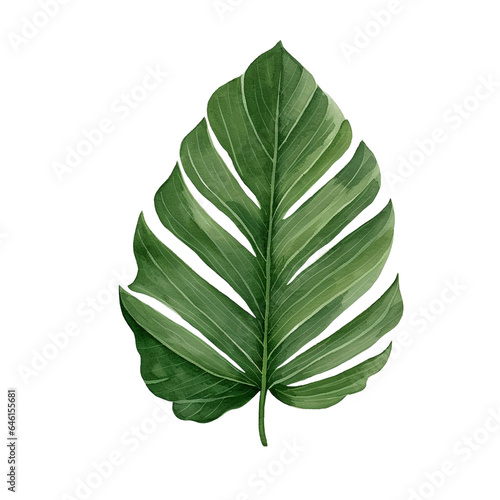 Nature s Harmony  The Minimalist Forest Green Leaf - Created with Generative AI Technology