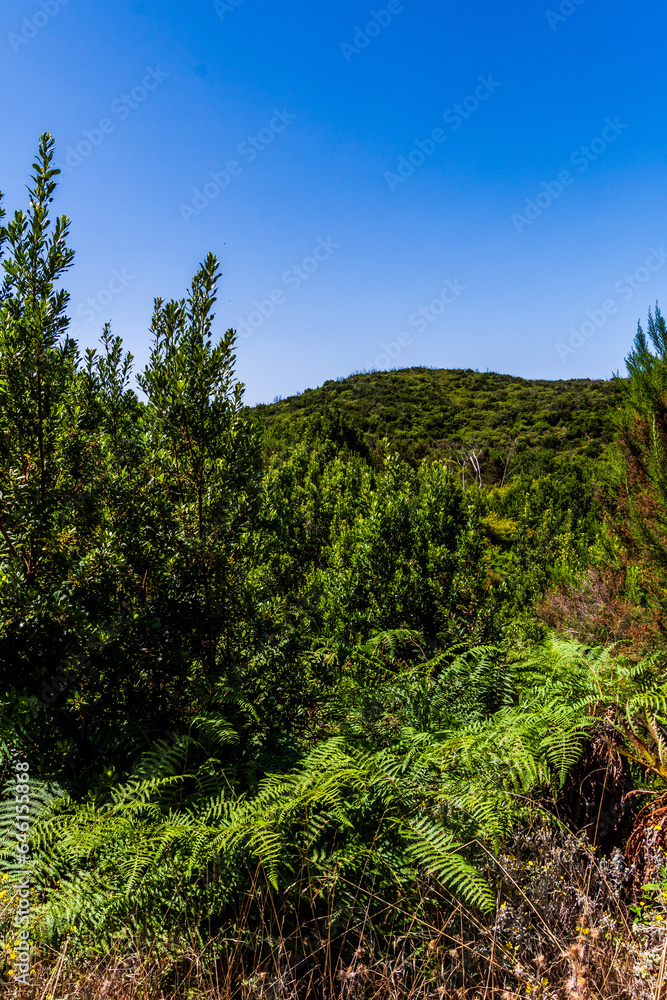Paisaje en la Isla de la Gomera.