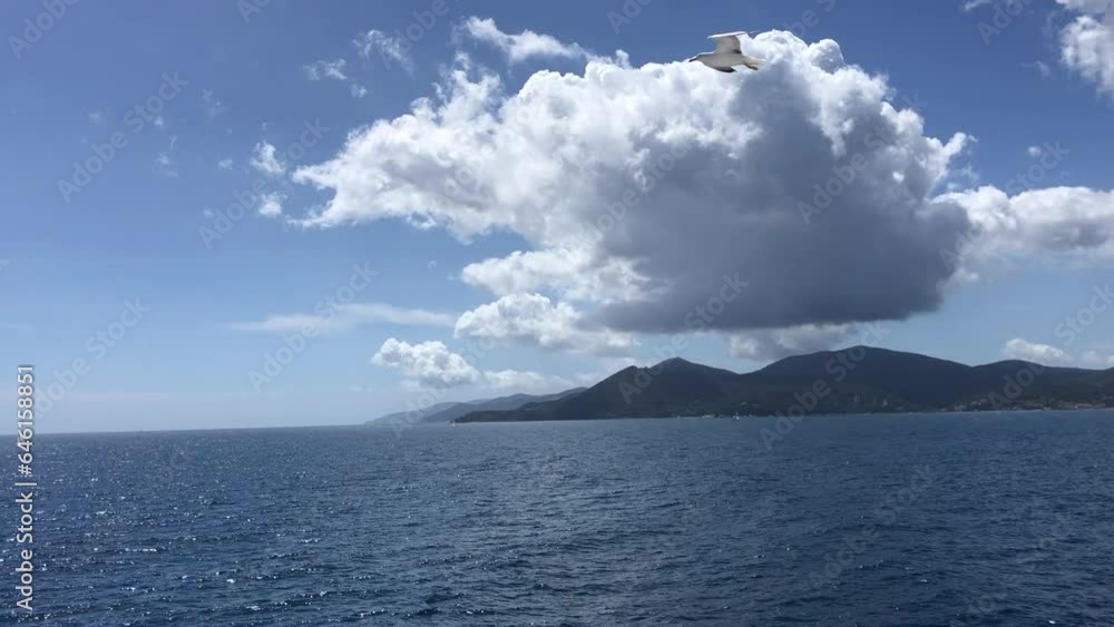 Elba island sailing along coast and seagull, Tuscany, panoramic view at sunny day, Italy. Elba island sailing along coast and seagull, Tuscany, panoramic view at sunny day, Italy.
