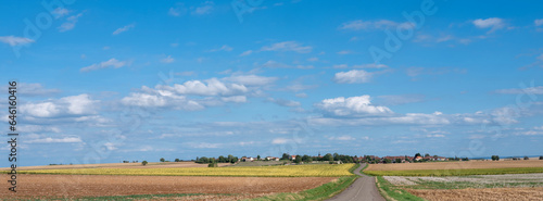 open rural landscape near Tanay and dijon in the saone valley