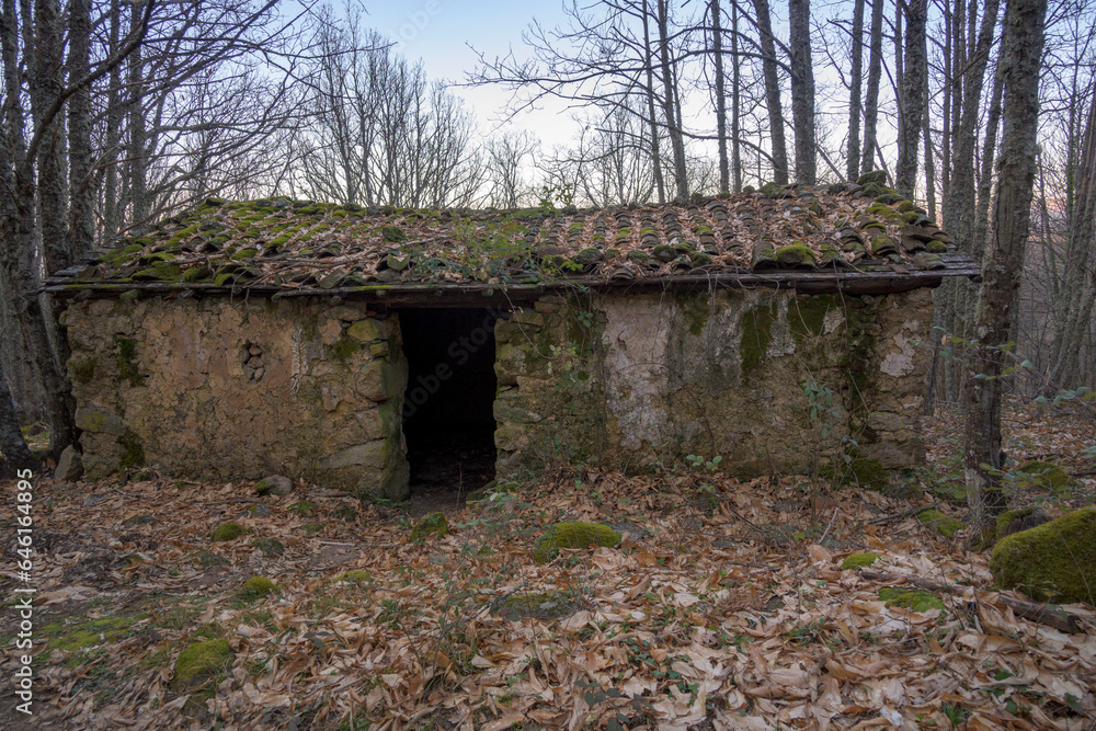 Abandoned ruined house in the middle of the forest in winter horizontal