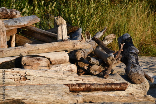 Wallpaper Mural pile of drift wood Torontodigital.ca