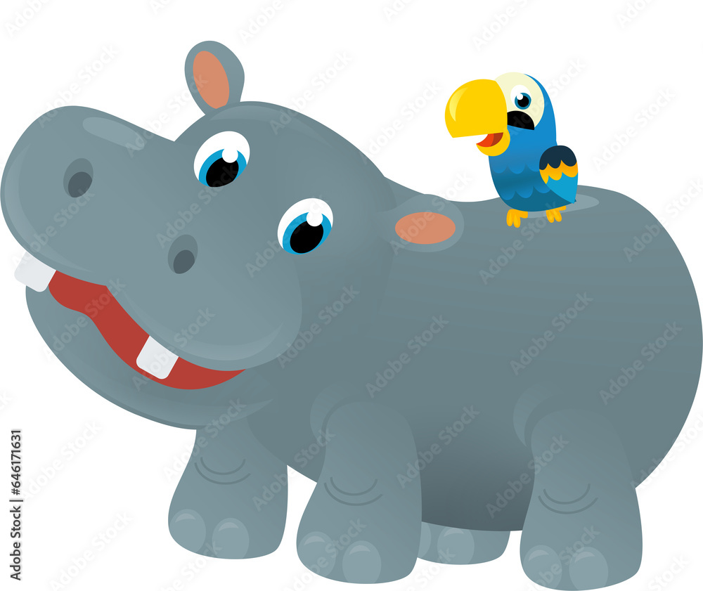 cartoon scene with happy tropical animal hippo hippopotamus and other animal on white background safari illustration for children