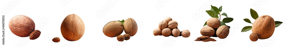 Png Set transparent background with nutmeg alone Png Set transparent background with nutmeg alone