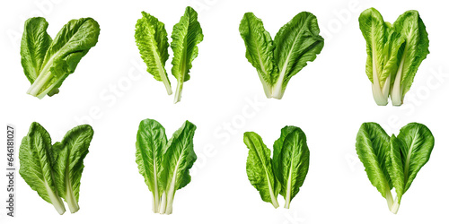 Png Set Two romaine lettuce leaves against transparent background photo