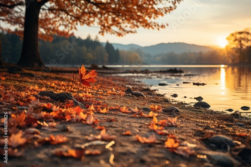 Fall Sunset Landscape